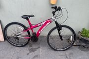 Kawasaki Escape Mountain Bike