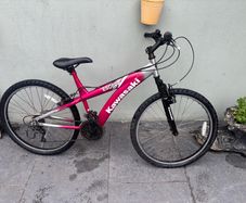Kawasaki Escape Mountain Bike