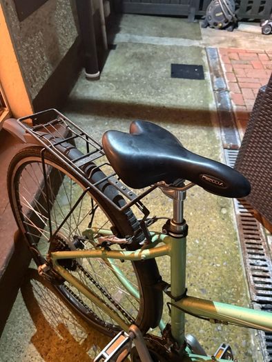 Raleigh City Bike