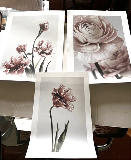 Desenio artwork print sets