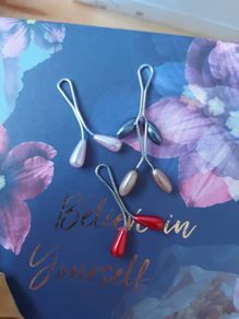 Clips/ pins