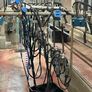 Milking parlour Image 6