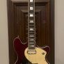 Schecter TSH-1 Image 2