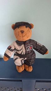 Formula 1 Collectable Teddy Bear