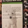 West Highland White Terrier.manual And Reference Guide.  Hardback In Good Condition. Image 2