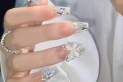 Butterly and Rhinestone Press on Nails in Silver Glitter