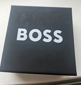 Hugo Boss tie pin