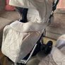 Venicci buggy Image 3