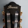 Ibanez AEG50N nylon acoustic Image 5
