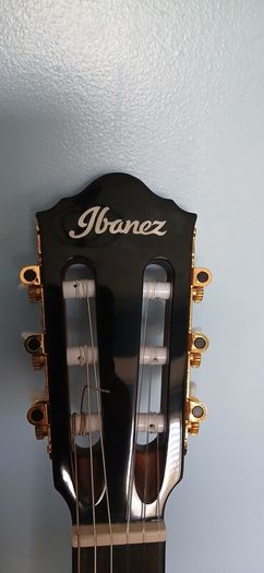Ibanez AEG50N nylon acoustic