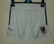wicklow gaa shorts