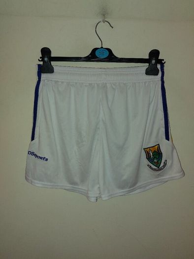 wicklow gaa shorts