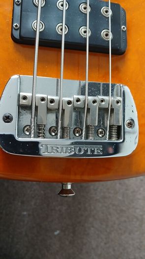 G&L L2000 Tribute