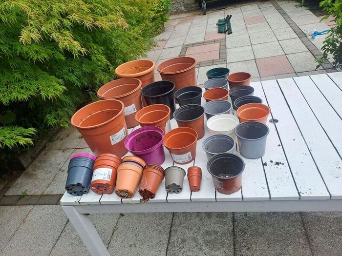 46 Plastic Plant Pots - all shapes and sizes