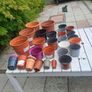 46 Plastic Plant Pots - all shapes and sizes Image 3