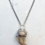 1 Prehistoric Bear Claw Talisman on a Sterling Silver Belcher Chain Image 5