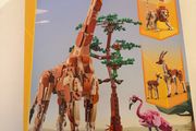Lego 31150 3 in 1 safari animal's