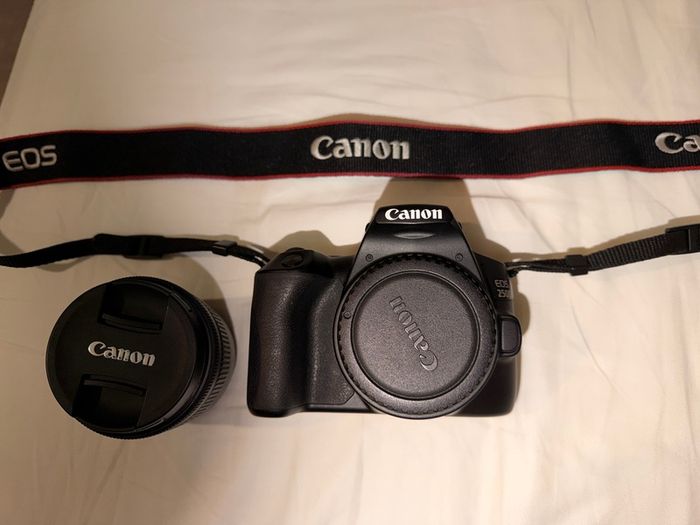 Canon EOS 250D DSLR Camera and 3 Lenses - Complete Photography Kit