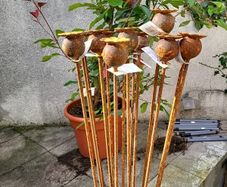 Corten steel Poppy heads.