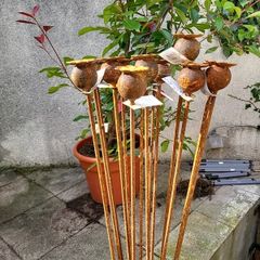 Corten steel Poppy heads.