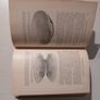 Life in Ponds and Streams by W. Furneaux 1935 Edition Image 3