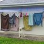 EcoDry Canopy Clothes Line Image 5
