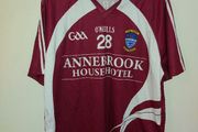 westmeath gaa jersey