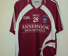 westmeath gaa jersey