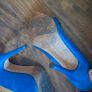 Manolos Image 2