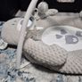 Play Gym Image 3