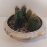 Lovely Arklow Pottery Tureen with Cacti Garden - A Fabulous Unique and Decorative Item for Display Indoors Image 4