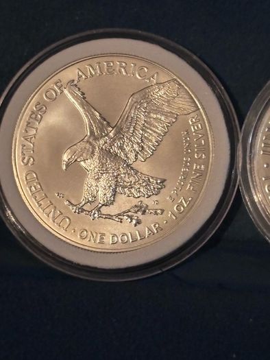 1oz silver Coins
