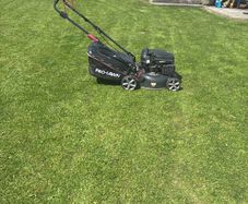 lawn