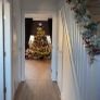 7ft Nebraska tree Image 2