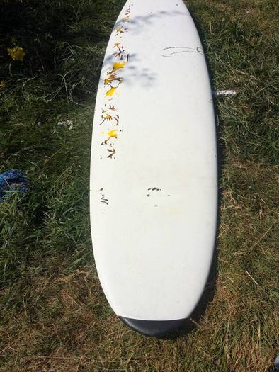 Bic surfboard