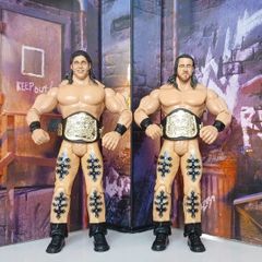 WWE Jakks Pacific Figures