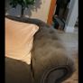 sofa Image 9