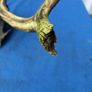 Deer skull and horns Image 8