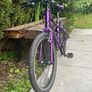 kids bike GIANT ARX20 Image 5