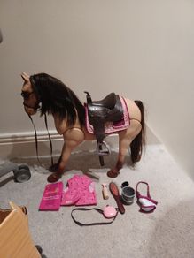 Our Generation Doll, Horse and accessories