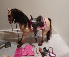Our Generation Doll, Horse and accessories