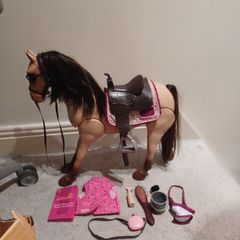 Our Generation Doll, Horse and accessories