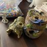 Fish Tank, cleaning bowl, ideal starter pack Image 2