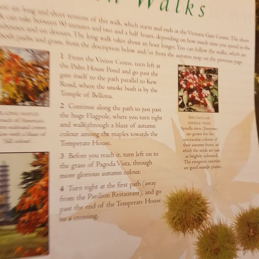Kew Royal Botanic Kew Gardens Souvenir Guide.