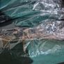 Futon Seat Pad 40cm  (Brand new - never opened) Image 4