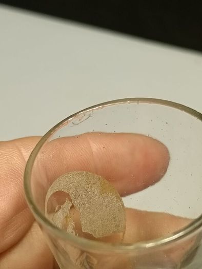 Rare Georgian etched toasting glass