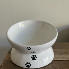 Cat Food Dish