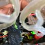 fpv Image 7