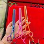 Hairdressing & Pet Grooming Scissors Image 5