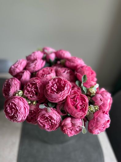 Pink pheony flowers